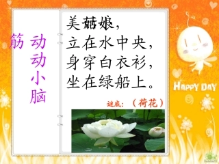 《荷花》教学课件(2)