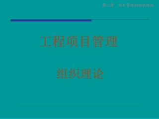 项目管理的组织理论
