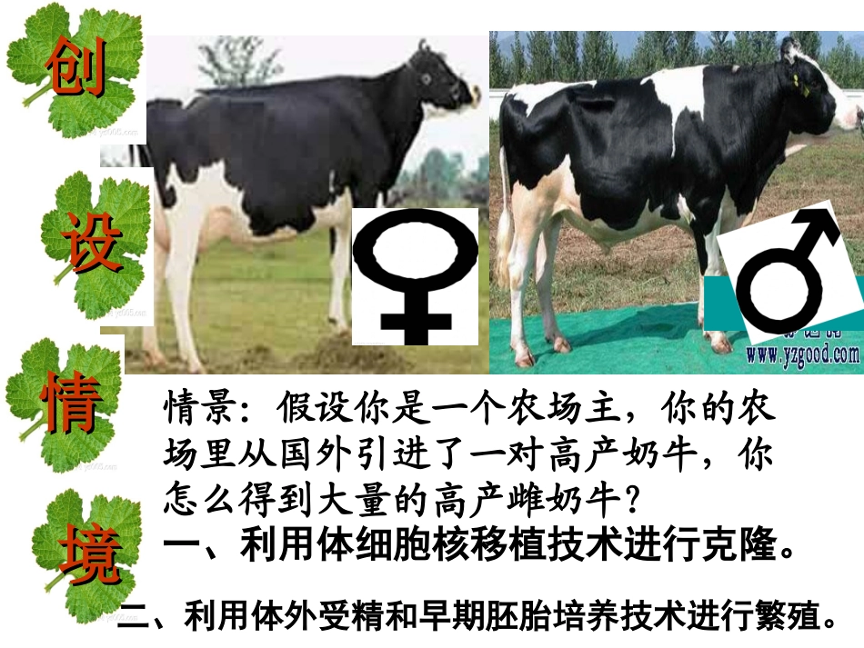 胚胎工程的应用及前景_第2页