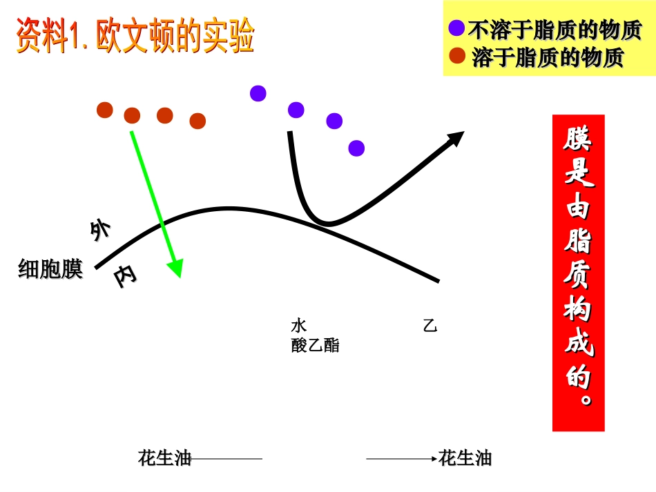 人教版教学课件人教版必修一分子与细胞第三章细胞的基本结构第2节《生物膜的流动镶嵌模型》_第2页