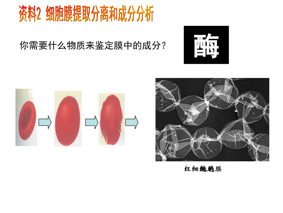 人教版教学课件人教版必修一分子与细胞第三章细胞的基本结构第2节《生物膜的流动镶嵌模型》_第3页