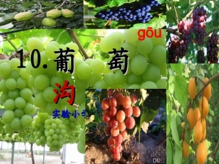 葡萄沟课件张贞英