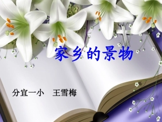 三年级语文园地一习作《家乡的景物》