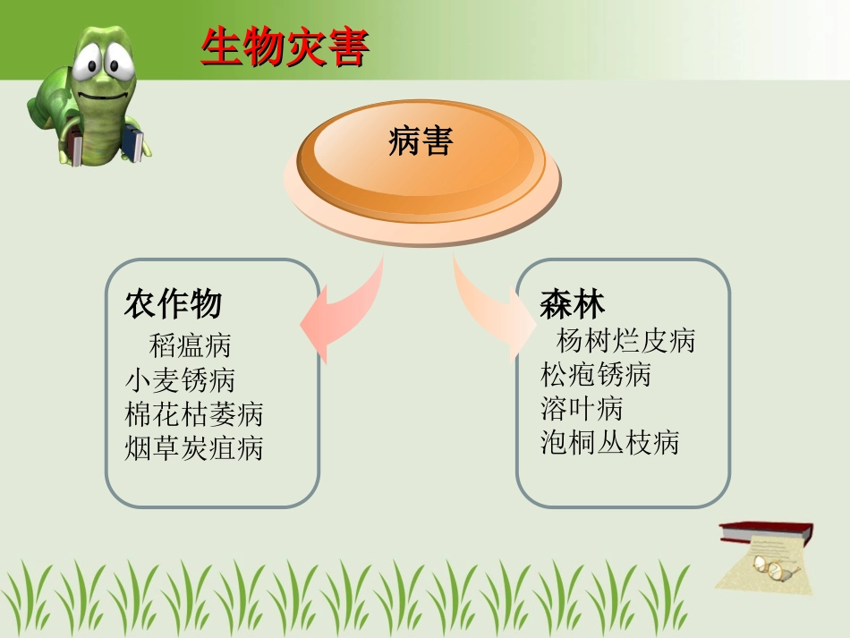 选修五生物灾害综合版_第3页