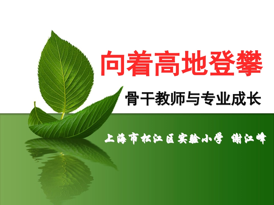 谢江峰：向着高地登攀_第1页