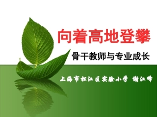 谢江峰：向着高地登攀