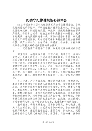 纪委守纪律讲规矩心得体会