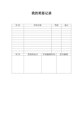 我的奖惩记录