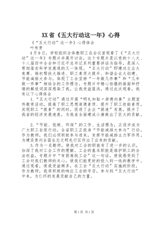XX省《五大行动这一年》心得