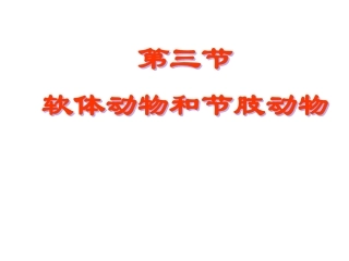 软体动物和节肢动物