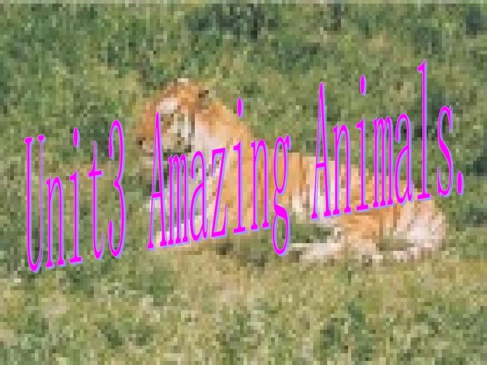 八年级英语上21课件_第1页