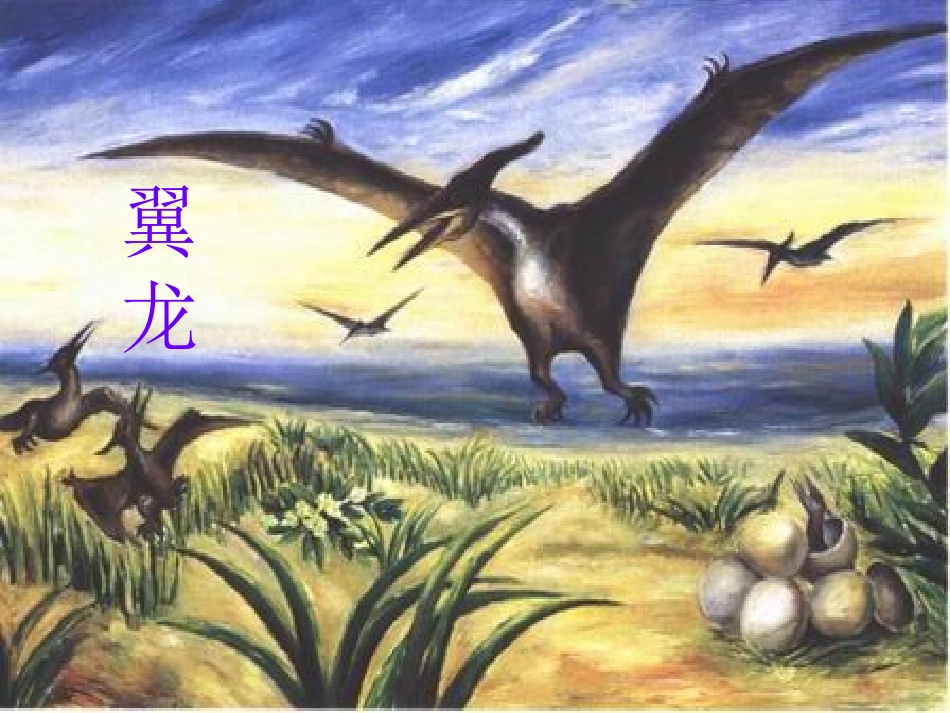 《飞向蓝天的恐龙》课件 (4)_第2页
