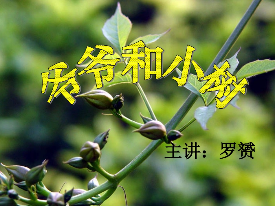 《爷爷和小树》课件_第1页