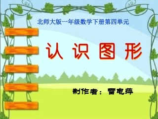 参赛课件雷电萍