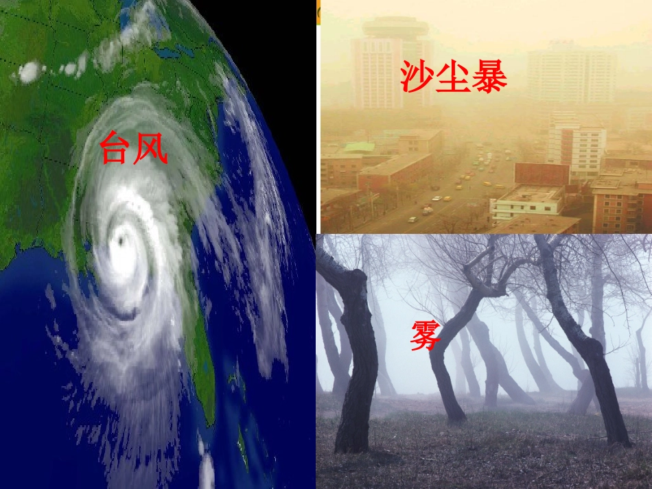 七-41天气与生活_第2页