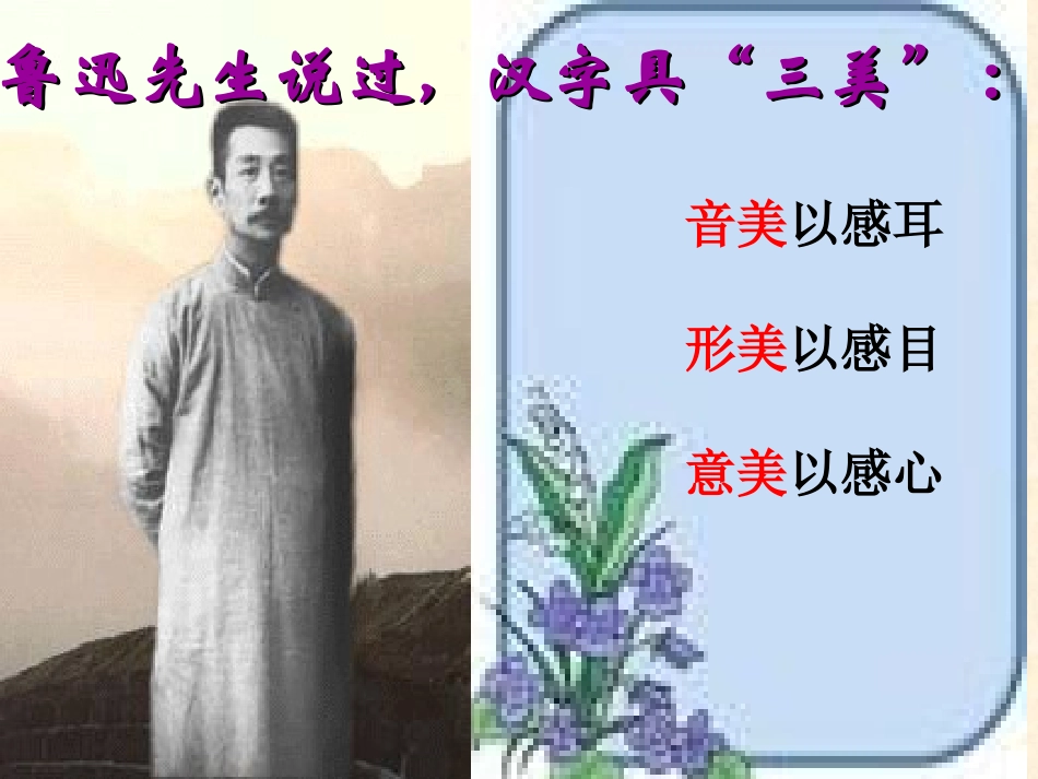 苏教版八上专题《汉字》教学课件_第3页