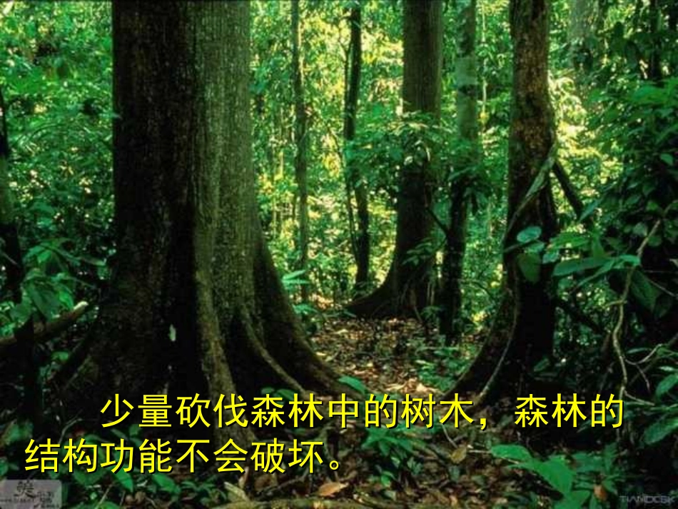 生态系统的稳定性(平时用)_第2页