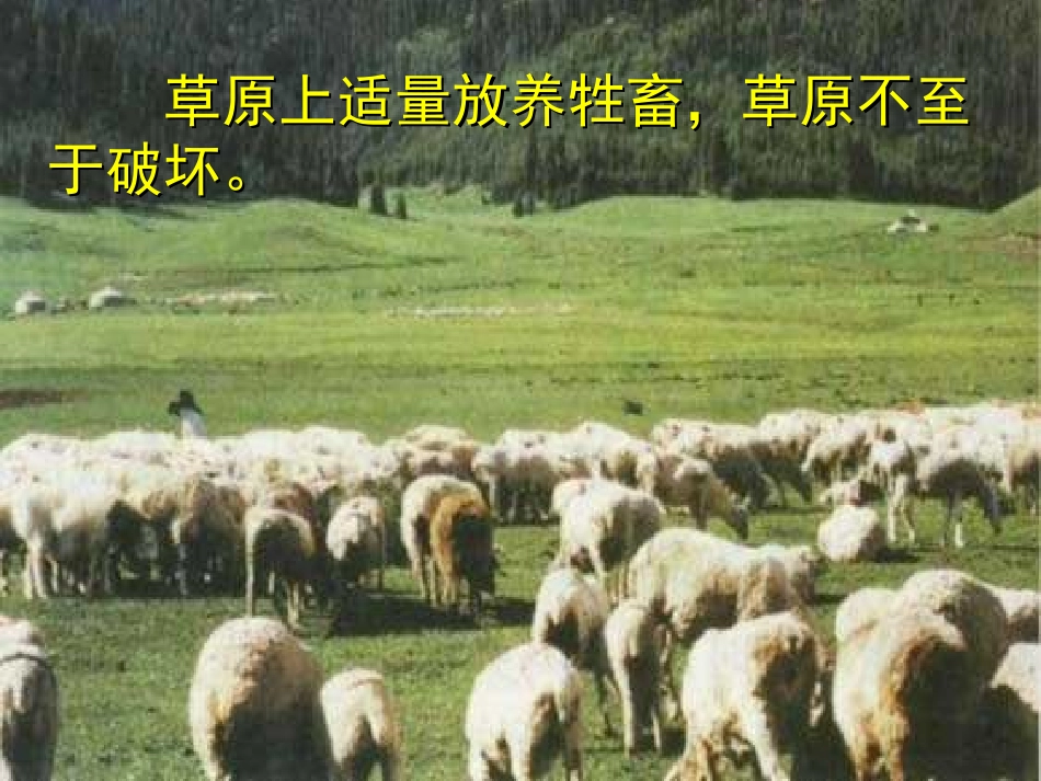 生态系统的稳定性(平时用)_第3页