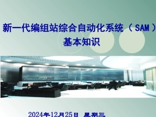 SAM系统基本知识课件