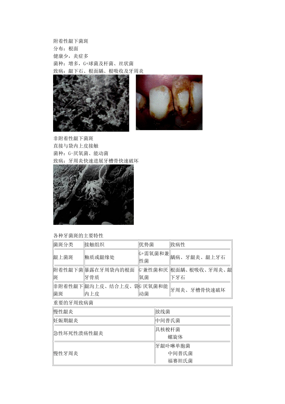 第八章 牙周病学69_第3页