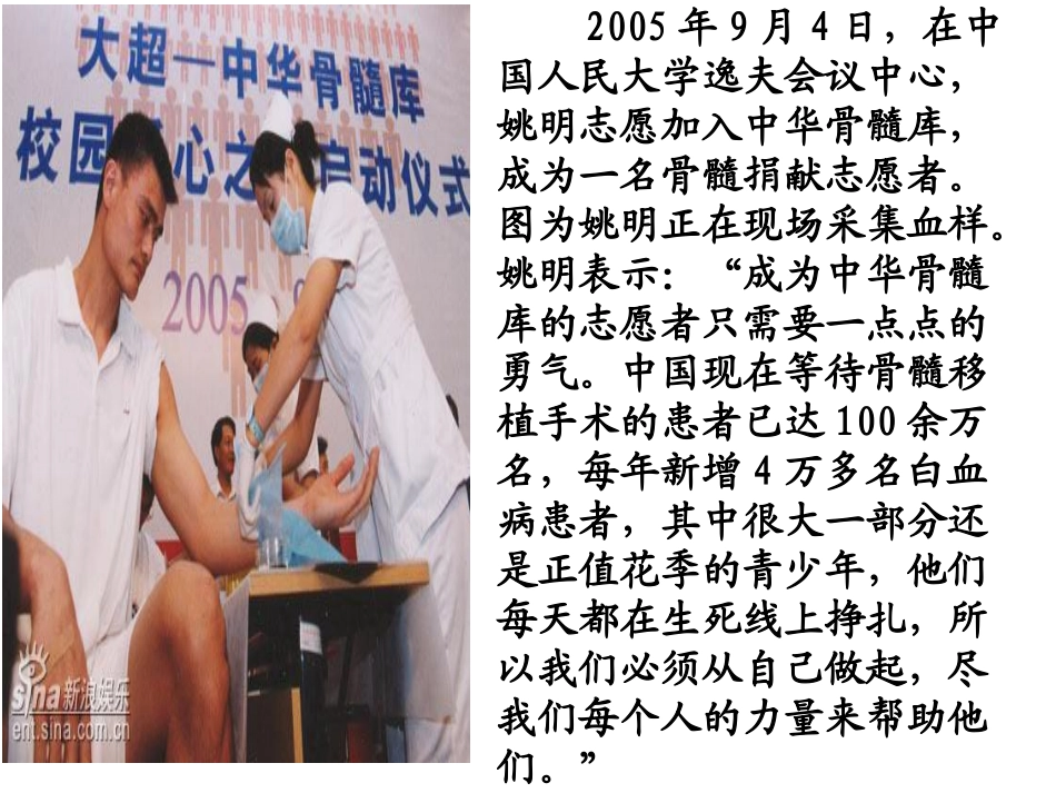 跨越海峡的生命桥课件_PPT_第3页