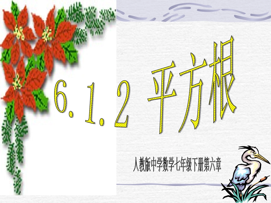 《61平方根》教学课件2_第1页
