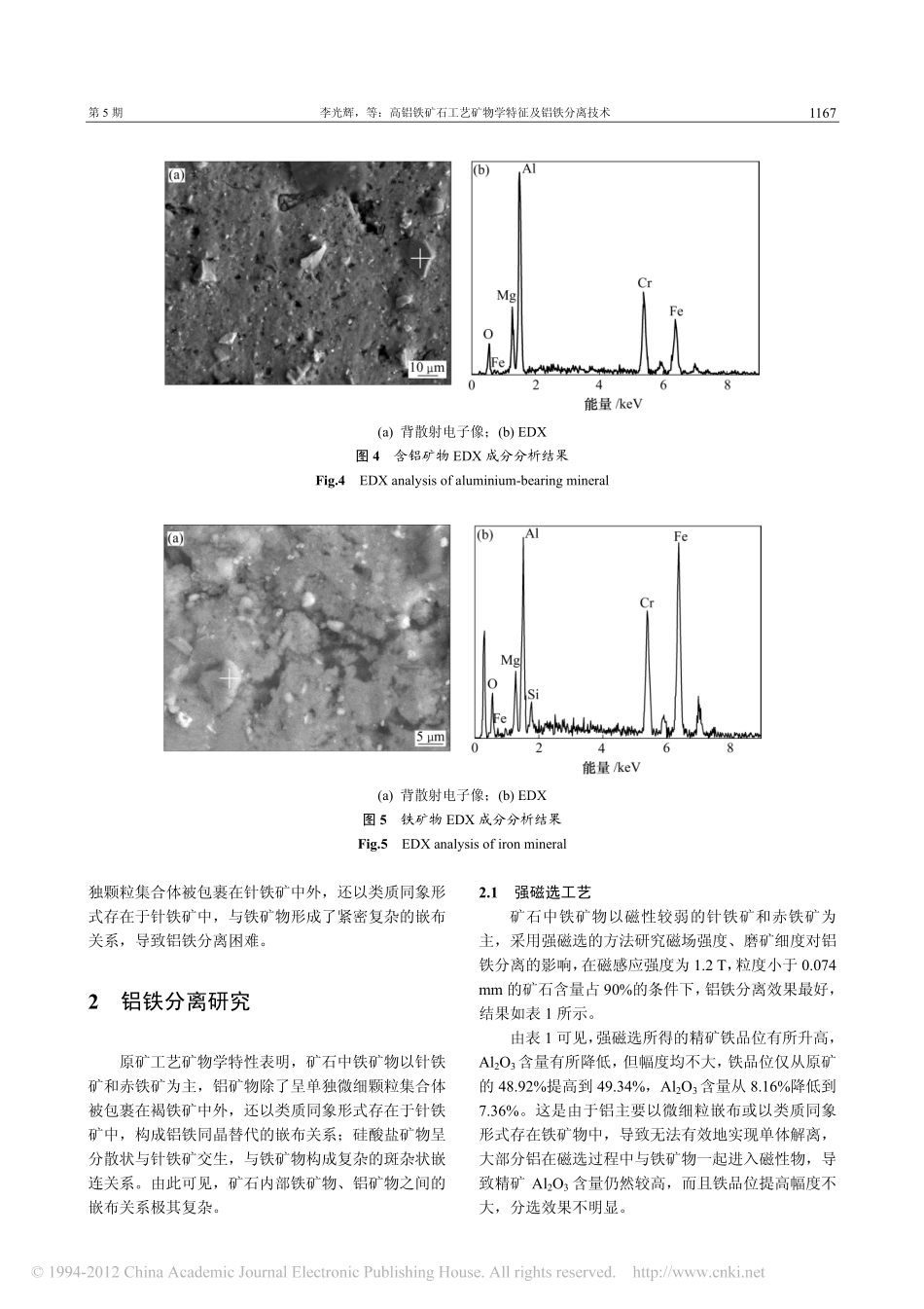 高铝铁矿石工艺矿物学特征及铝铁分离技术 - 副本 - 副本 (4)_第3页