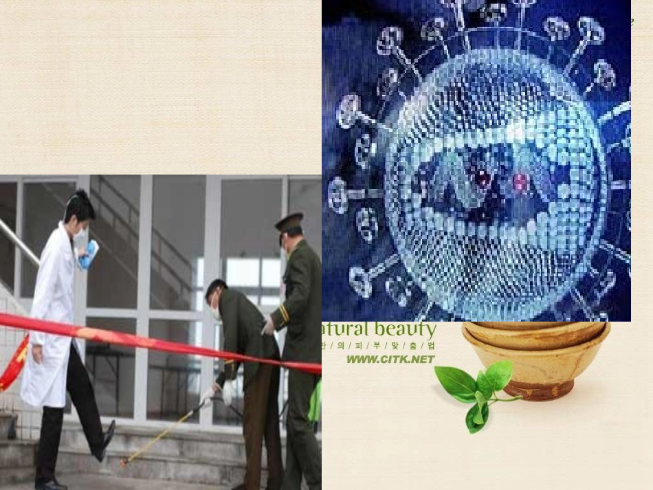 微生物在生物圈中的作用1_第2页