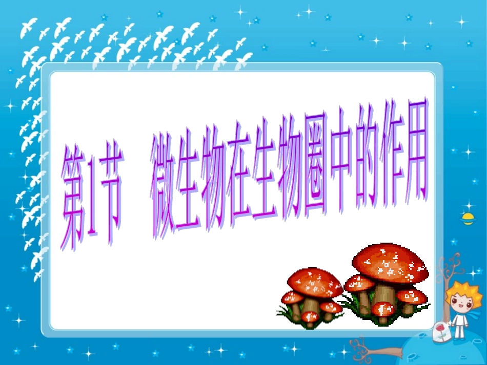 微生物在生物圈中的作用1_第3页
