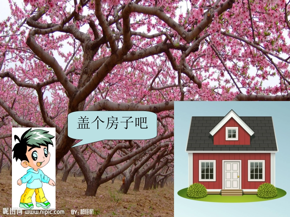 天然材料和人工材料_第1页