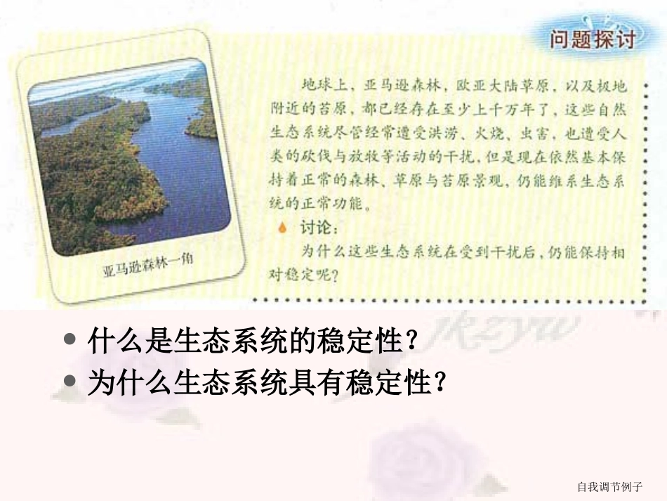 人教版教学教案云南省弥勒县庆来中学2011-2012学年生物必修3 生态系统的稳定性4(课件)_第2页