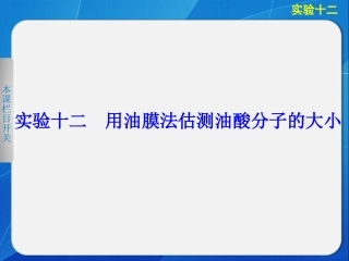 高中物理课件  实验十二用油膜法估测油酸分子的大小