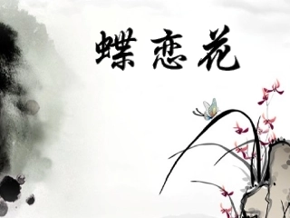 蝶恋花背景图片(免费下载)