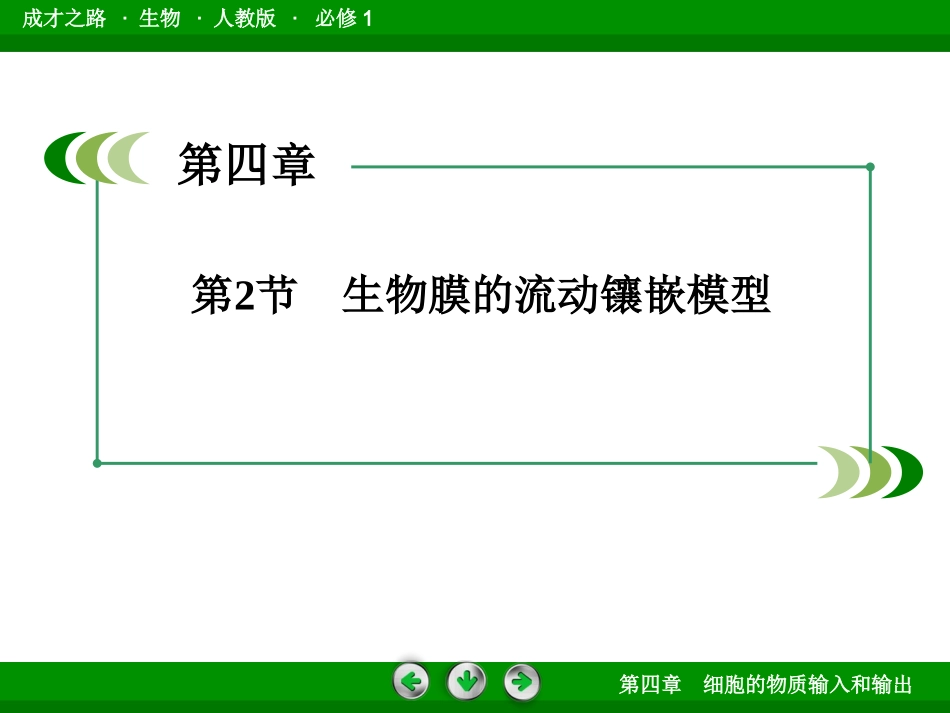 高一生物必修1第3、4单元课件：4-2生物膜的流动镶嵌模型_第3页
