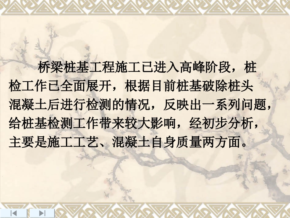 桥梁桩基工程施工质量专题会_第2页