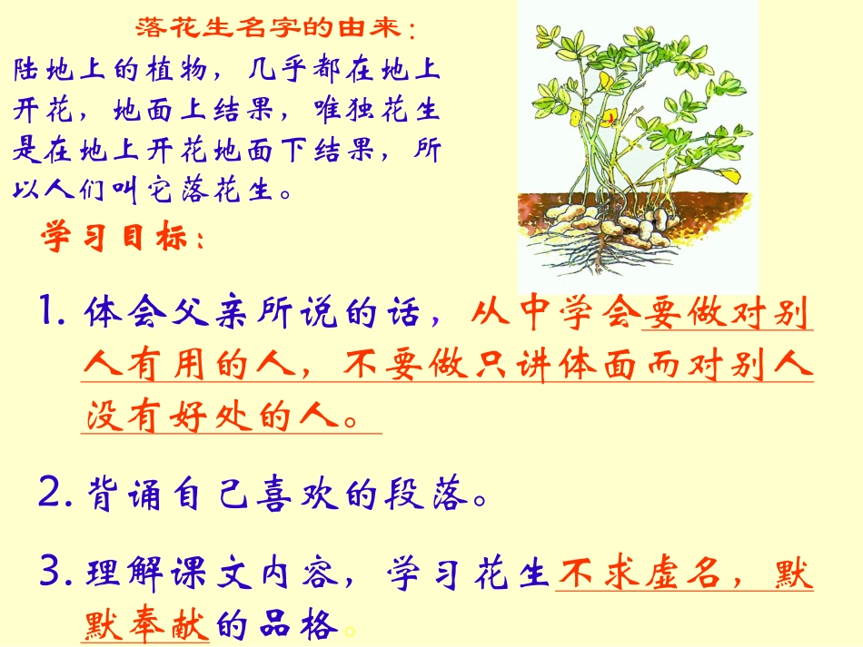 落花生PPT课件_第2页