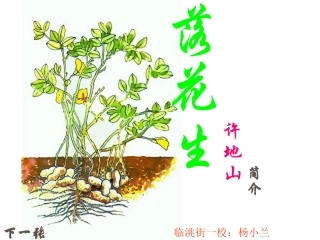 落花生PPT课件