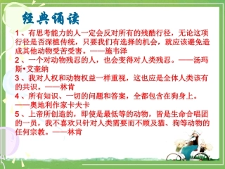 《跑进家来的松鼠课》教学课件2 (2)