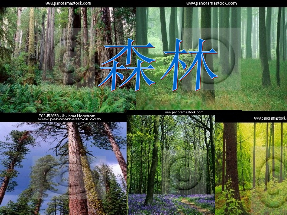 我多想去看看01_第2页