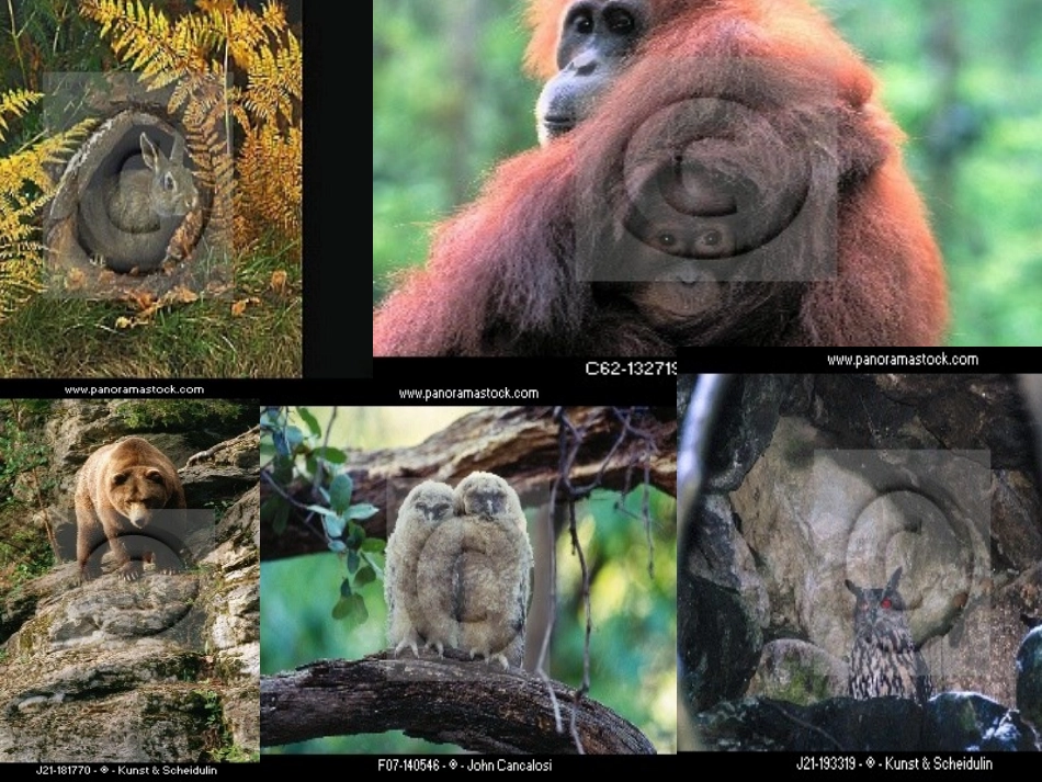 我多想去看看01_第3页