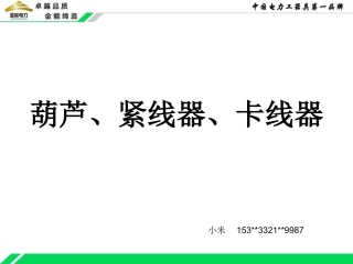 线路施工工具--葫芦、紧线器、卡线器系列