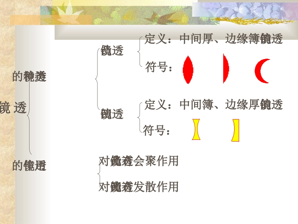 八年级物理《透镜及其应用》复习PPT课件_第2页