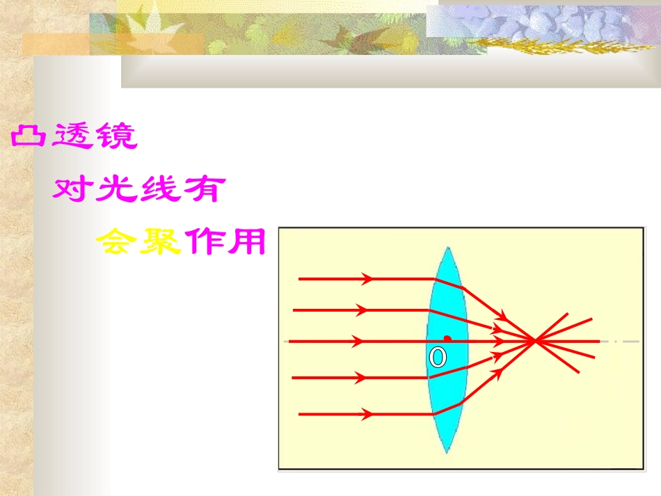 八年级物理《透镜及其应用》复习PPT课件_第3页