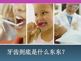 牙齿到底是什么东东？