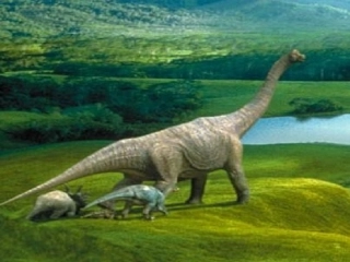 四年级上册语文飞向蓝天的恐龙