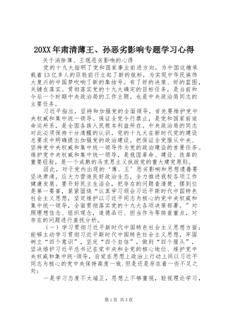 20XX年肃清薄王、孙恶劣影响专题学习心得 (3)