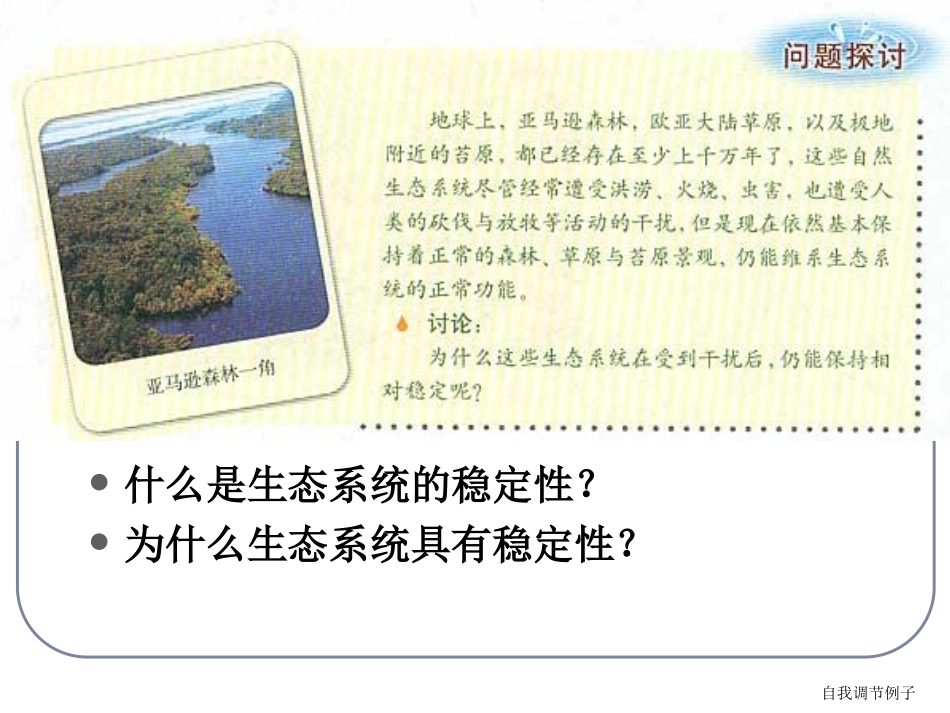 人教版教学课件生态系统的稳定性课件_第3页