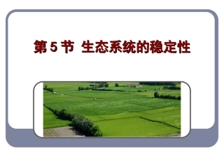 人教版教学课件生态系统的稳定性课件