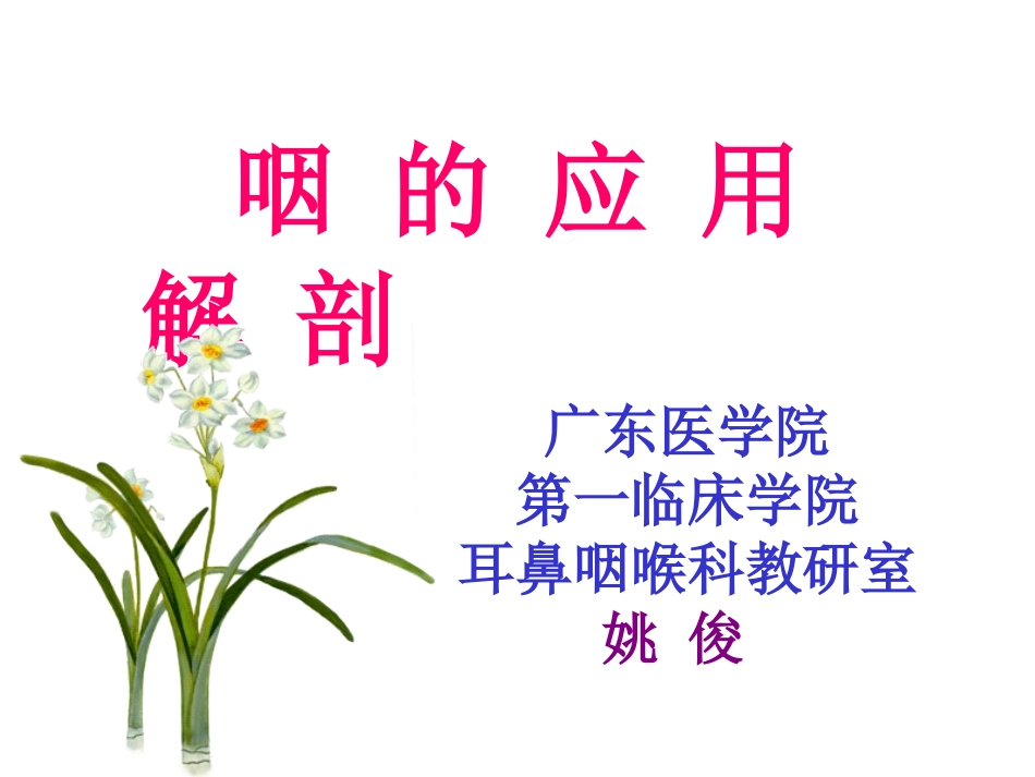 咽的解剖生理及生理咽炎_第1页