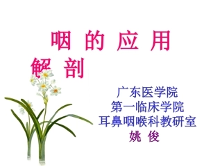 咽的解剖生理及生理咽炎